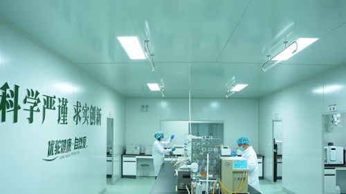 新疆木壘 優駝長眉駝工廠投產，以生物科技驅動全產業鏈，擘畫鄉村振興新藍圖